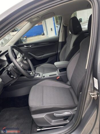 Skoda Octavia full