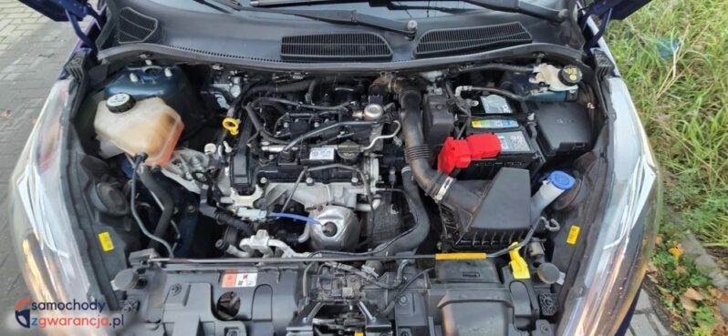 Ford Fiesta 1.0 Gold X EU6 full