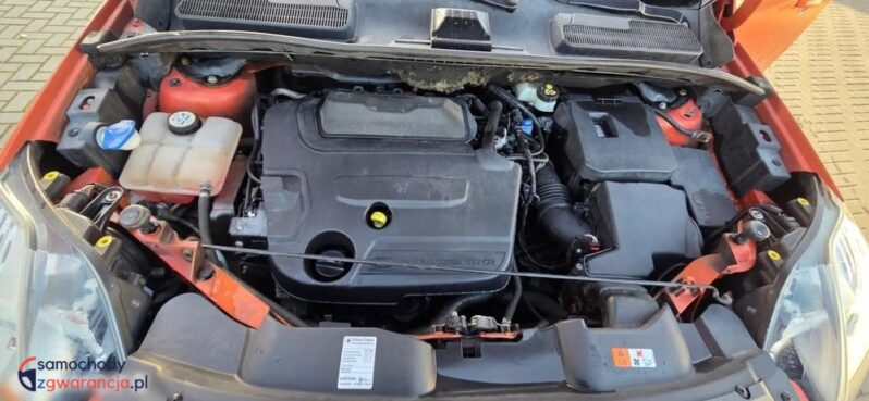 Ford Kuga 2.0 TDCi 2×4 Champions Edition full
