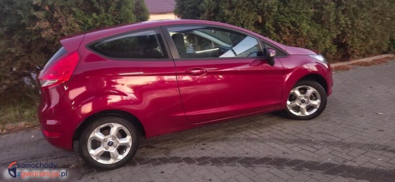 Ford Fiesta 1.25 Amber X full