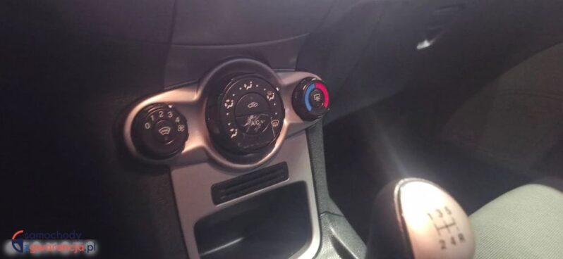 Ford Fiesta 1.25 Amber X full