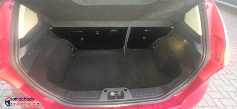 Ford Fiesta 1.25 Amber X full