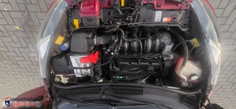 Ford Fiesta 1.25 Amber X full