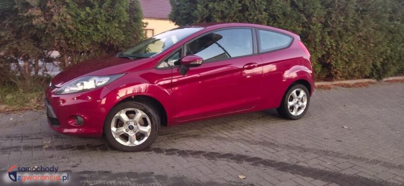 Ford Fiesta 1.25 Amber X full