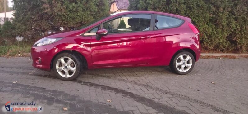 Ford Fiesta 1.25 Amber X full