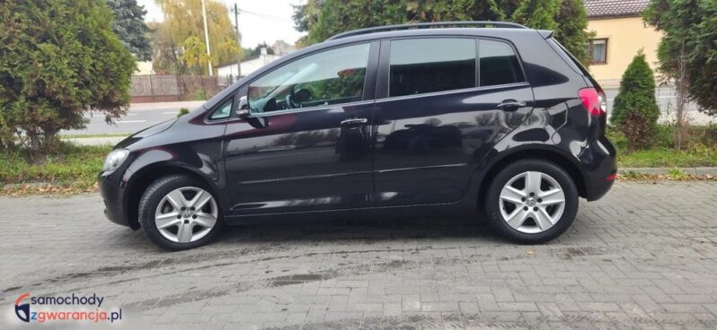 Volkswagen Golf Plus 1.6 TDI DPF Comfortline full