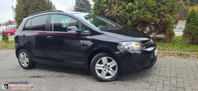 Volkswagen Golf Plus 1.6 TDI DPF Comfortline full