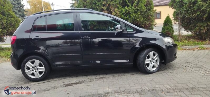 Volkswagen Golf Plus 1.6 TDI DPF Comfortline full