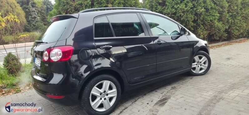 Volkswagen Golf Plus 1.6 TDI DPF Comfortline full