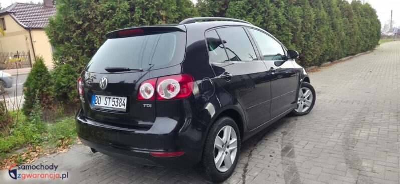 Volkswagen Golf Plus 1.6 TDI DPF Comfortline full