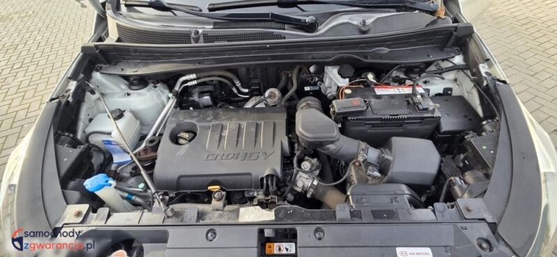 Kia Sportage full