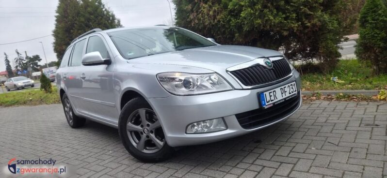 Skoda Octavia Combi 1.6 TDI DPF FAMILY full