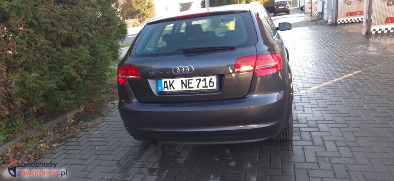 Audi A3 Sportback 1.6 TDI Ambition full