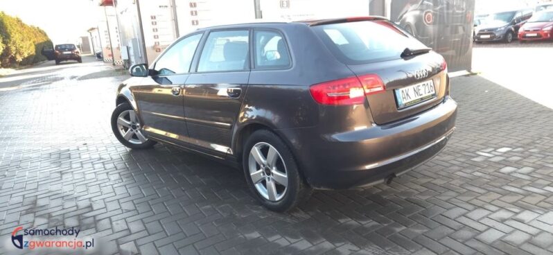 Audi A3 Sportback 1.6 TDI Ambition full