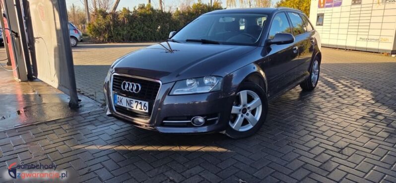 Audi A3 Sportback 1.6 TDI Ambition full