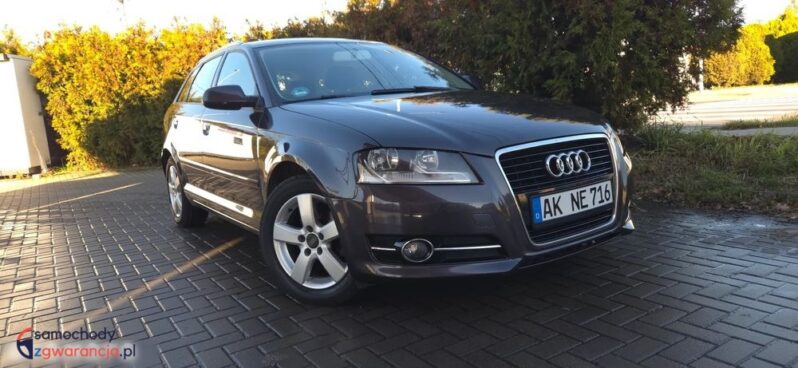 Audi A3 Sportback 1.6 TDI Ambition full