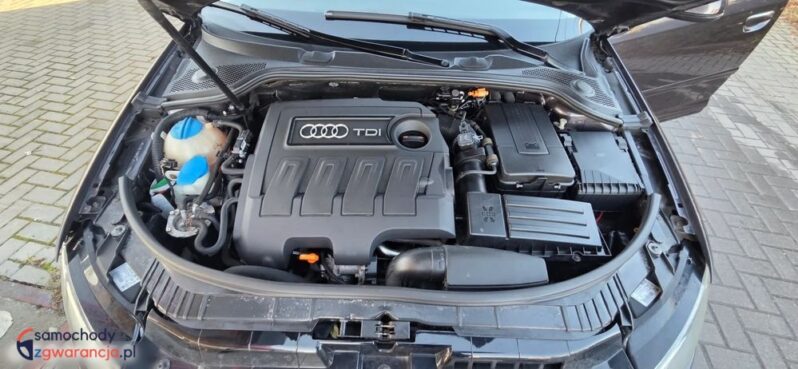 Audi A3 Sportback 1.6 TDI Ambition full