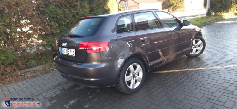 Audi A3 Sportback 1.6 TDI Ambition full