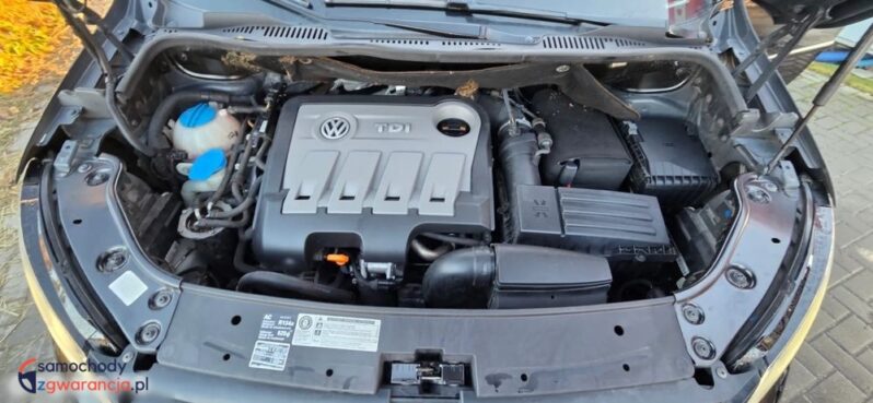 Volkswagen Touran 2.0 TDI DPF BlueMotion Technology DSG Highline full