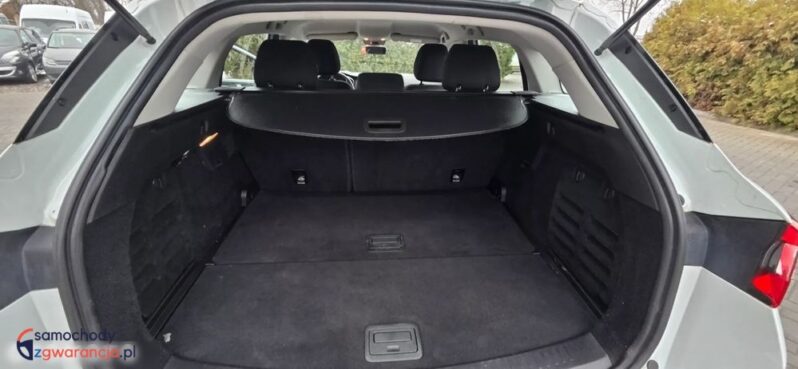 Renault Megane BLUE dCi 115 TECHNO full