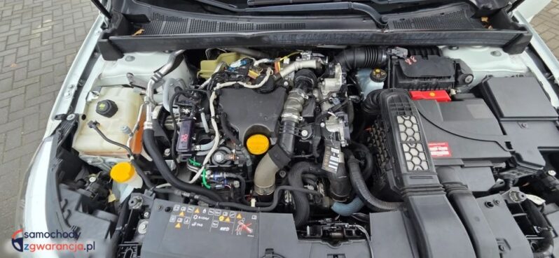 Renault Megane BLUE dCi 115 TECHNO full