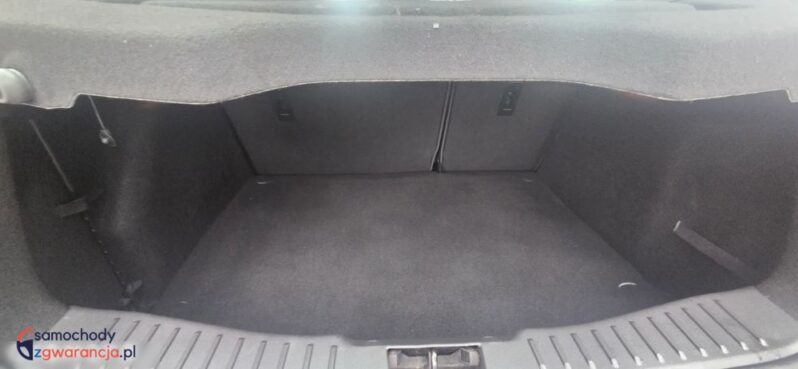Ford Focus 1.0 EcoBoost Start-Stopp-System Champions Edition full