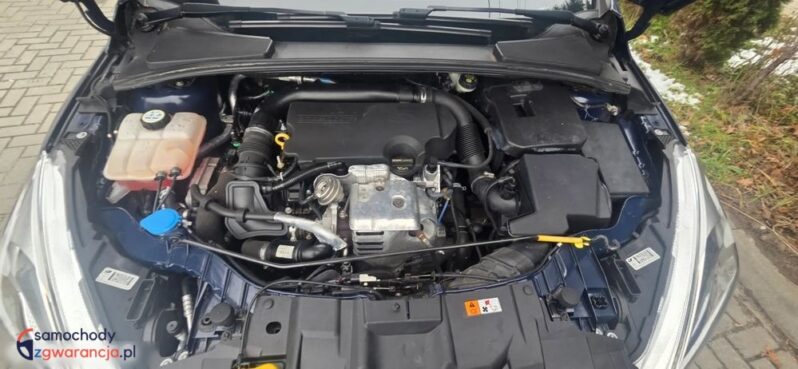 Ford Focus 1.0 EcoBoost Start-Stopp-System Champions Edition full