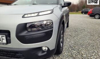 Citroën C4 Cactus full