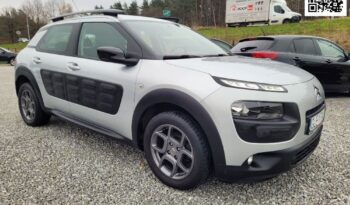Citroën C4 Cactus full