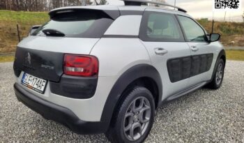 Citroën C4 Cactus full