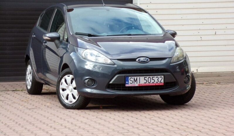Ford Fiesta full