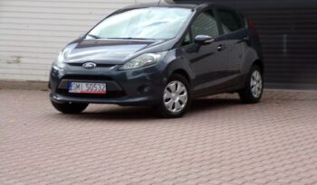 Ford Fiesta full
