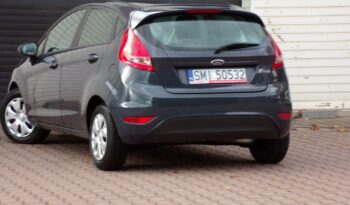 Ford Fiesta full