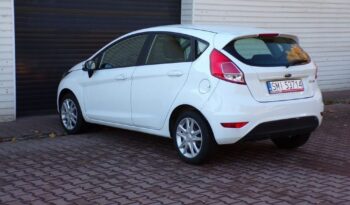 Ford Fiesta full