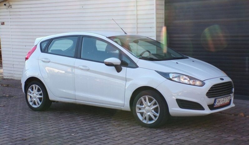 Ford Fiesta full