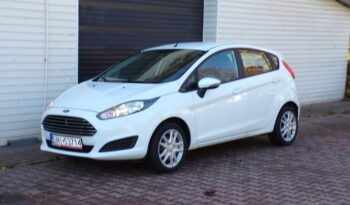 Ford Fiesta full