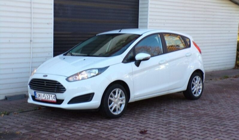 Ford Fiesta full