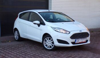 Ford Fiesta full
