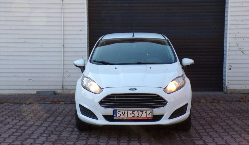 Ford Fiesta full