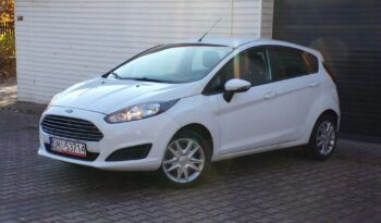 Ford Fiesta full