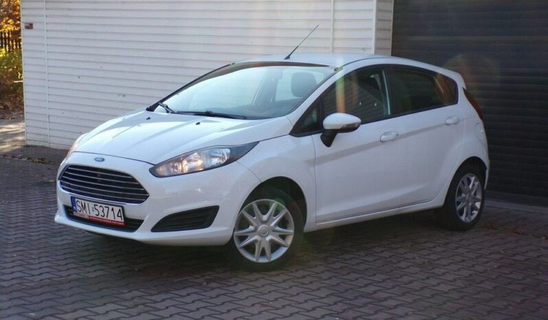 Ford Fiesta full