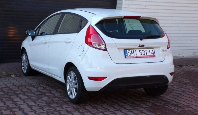 Ford Fiesta full