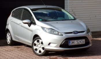 Ford Fiesta full