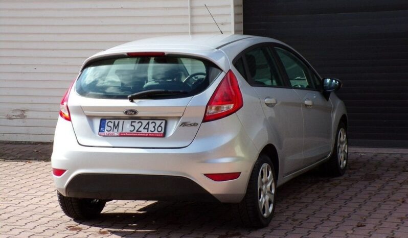 Ford Fiesta full