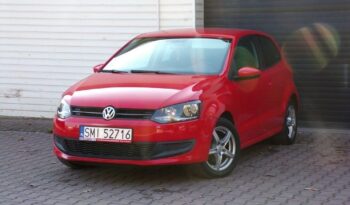 Volkswagen Polo full