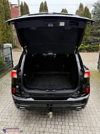 Ford Kuga 2.0 EcoBlue 4×4 ST-LINE X full
