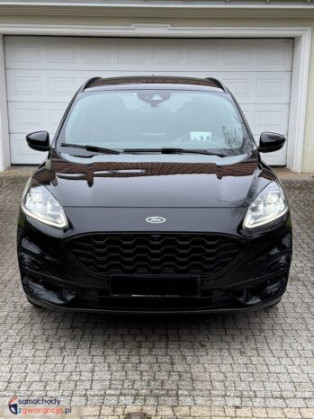Ford Kuga 2.0 EcoBlue 4×4 ST-LINE X full