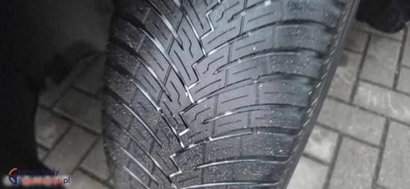 Peugeot Rifter full