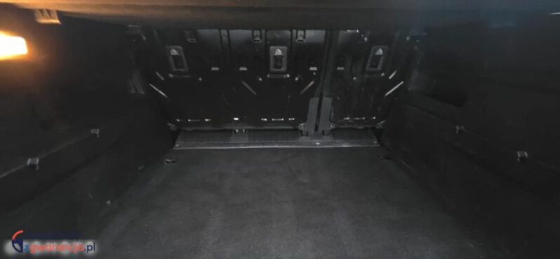Peugeot Rifter full