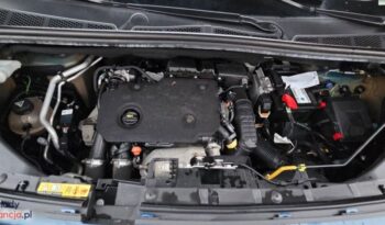 Peugeot Rifter full